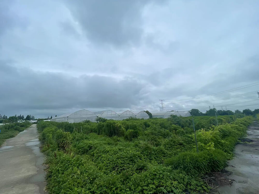 京申有機(jī)農(nóng)場(chǎng)